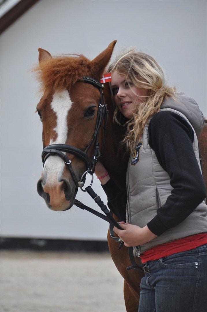 Pixeline 12-års fødselsdag :-) billede 102