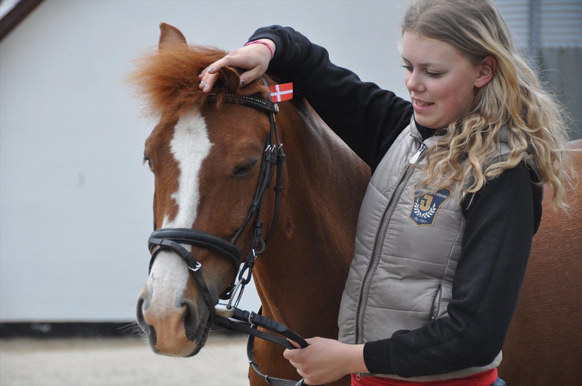 Pixeline 12-års fødselsdag :-) billede 103
