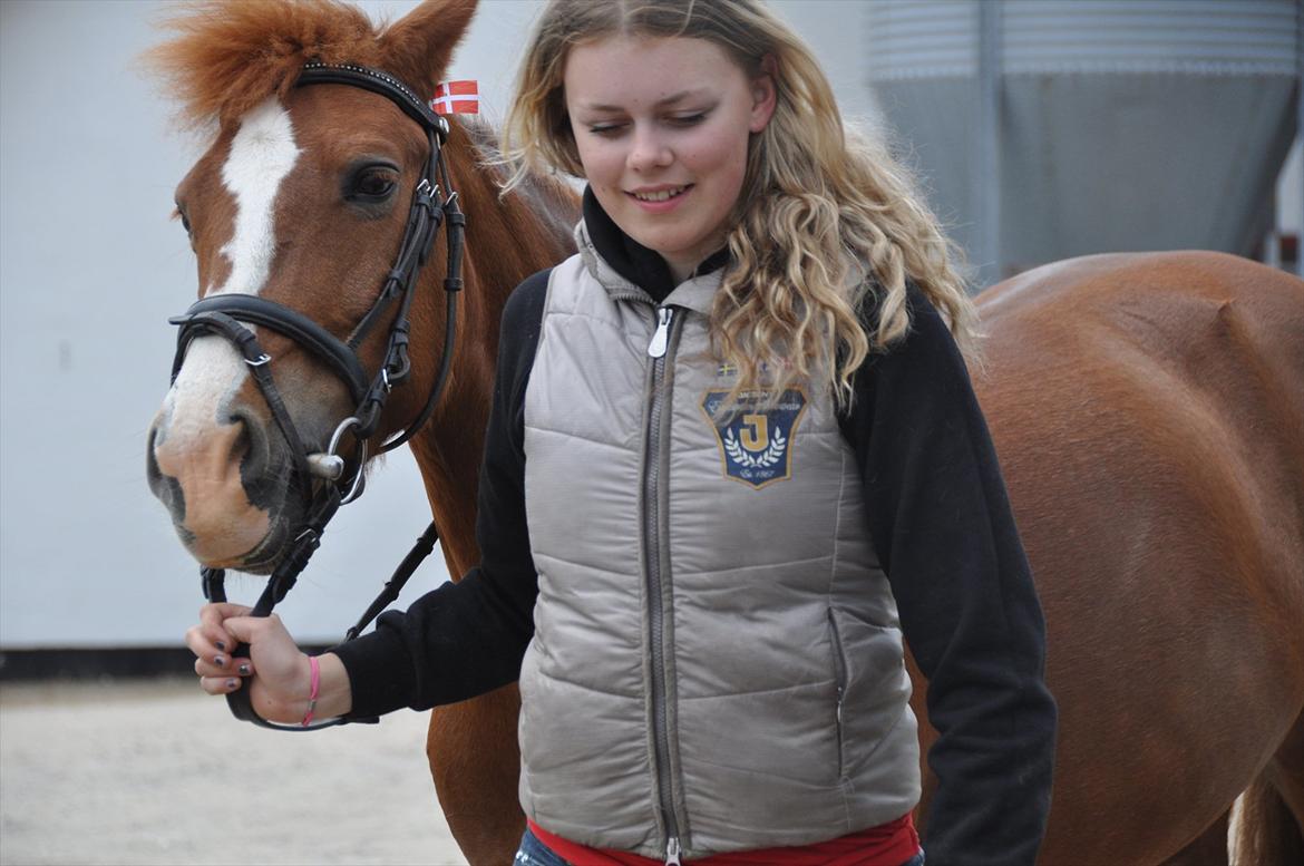 Pixeline 12-års fødselsdag :-) billede 104
