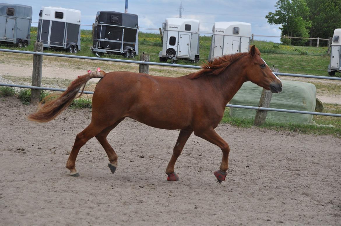 Pixeline 12-års fødselsdag :-) billede 106
