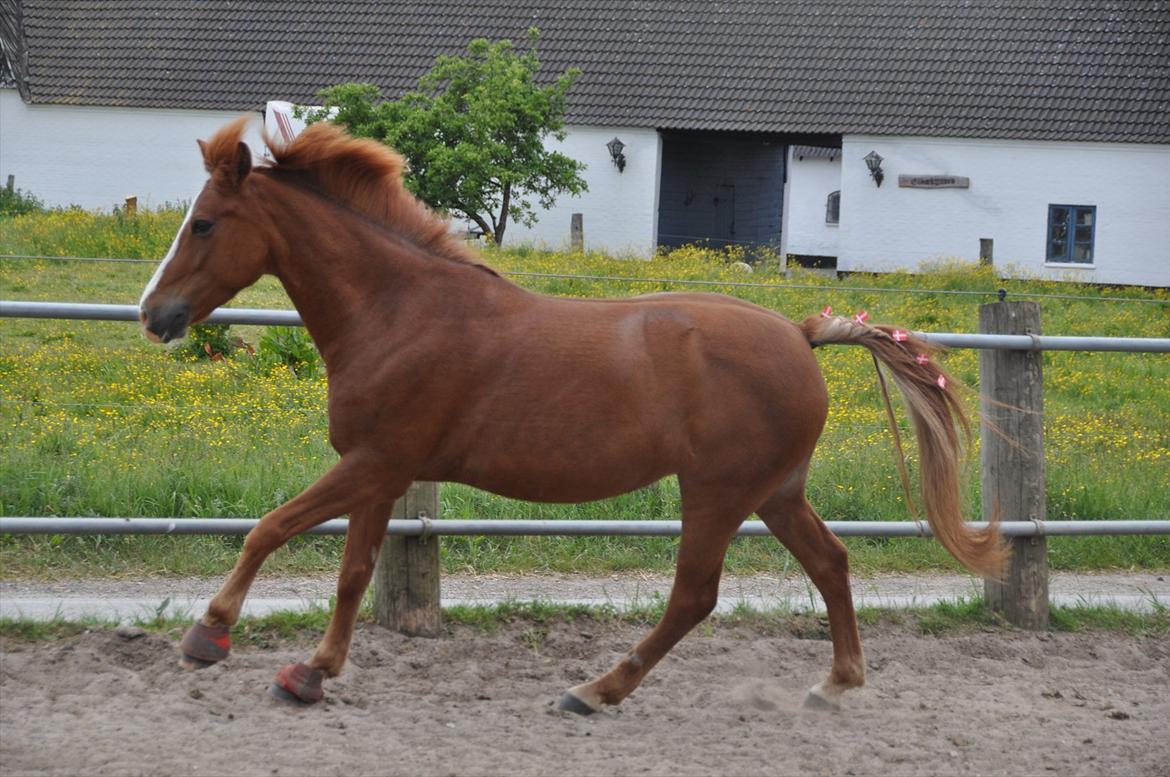 Pixeline 12-års fødselsdag :-) billede 122