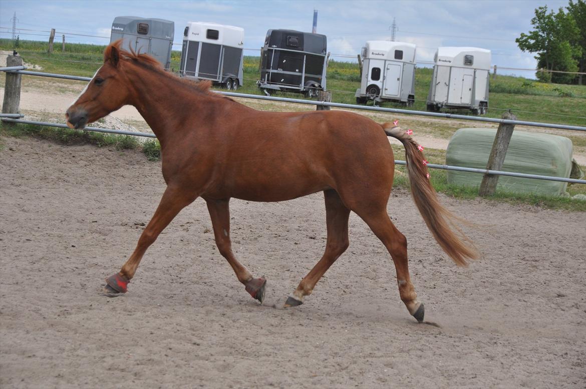 Pixeline 12-års fødselsdag :-) billede 125