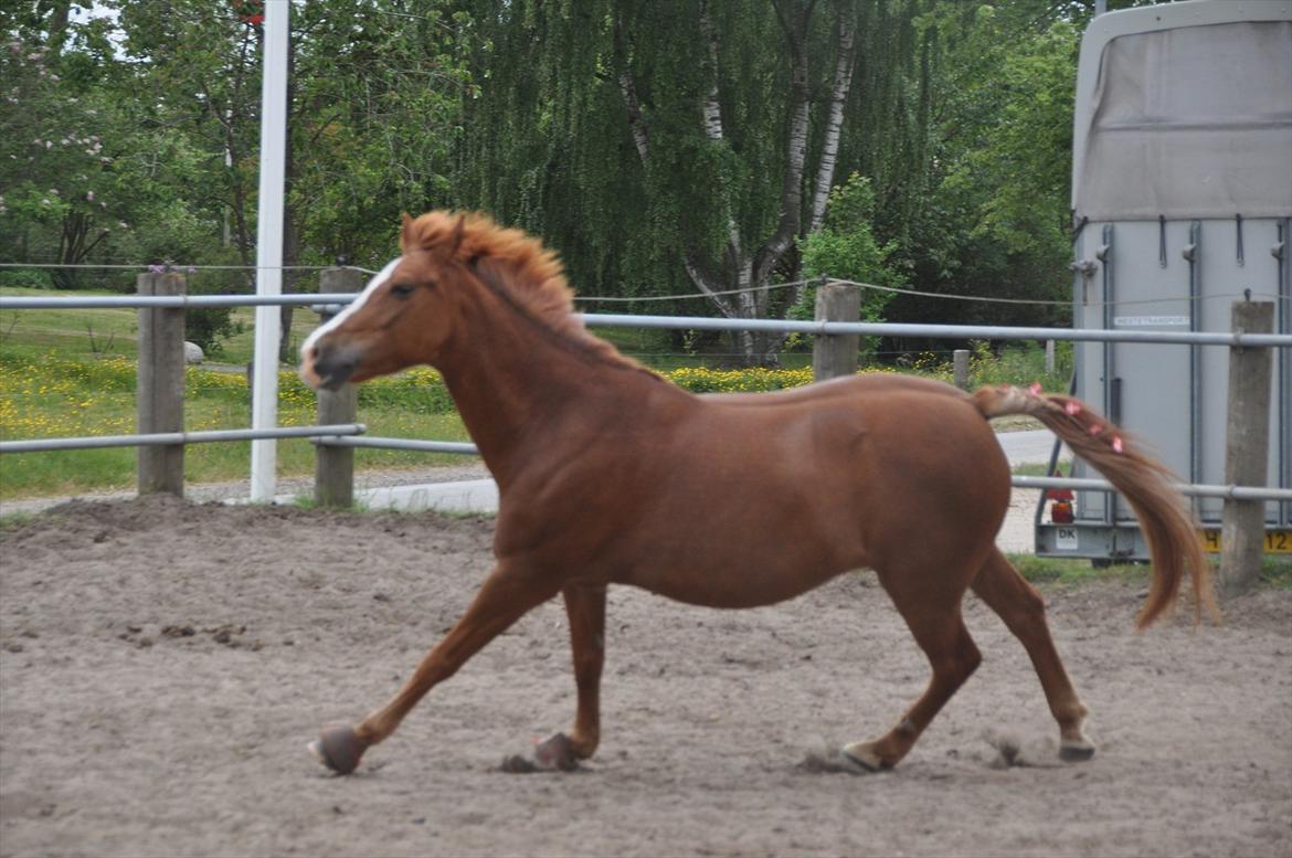 Pixeline 12-års fødselsdag :-) billede 133