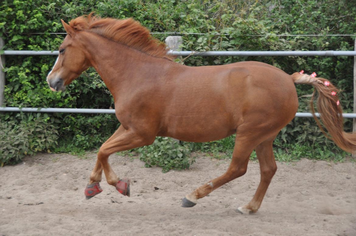 Pixeline 12-års fødselsdag :-) billede 139