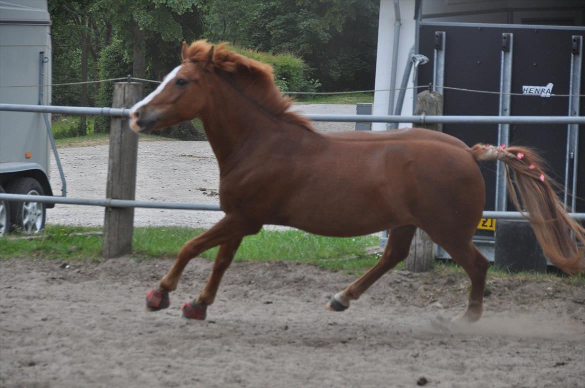 Pixeline 12-års fødselsdag :-) billede 140