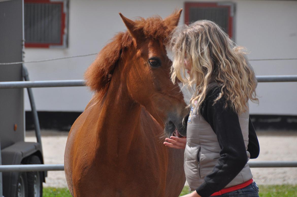 Pixeline 12-års fødselsdag :-) billede 156