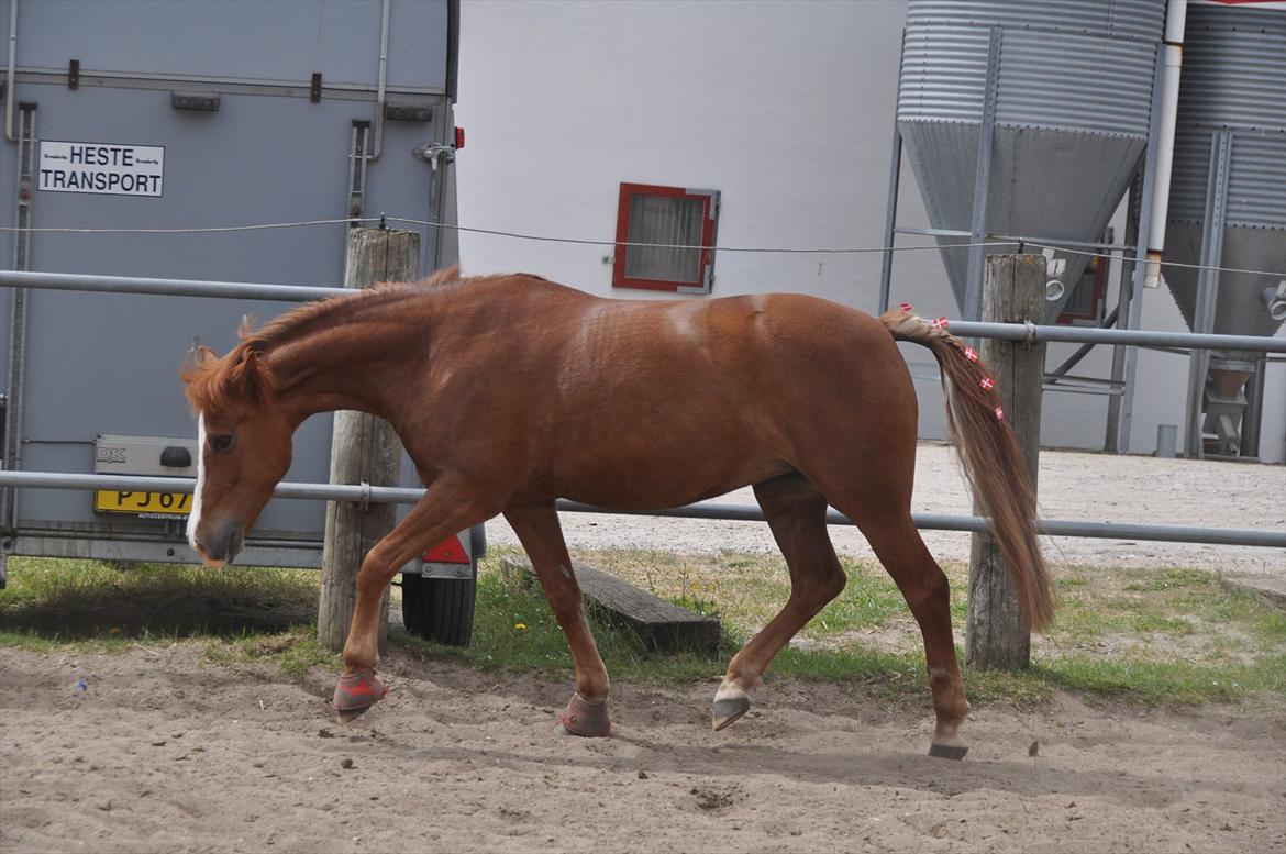 Pixeline 12-års fødselsdag :-) billede 157