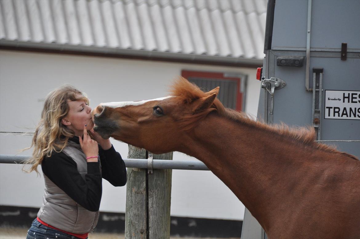 Pixeline 12-års fødselsdag :-) billede 163