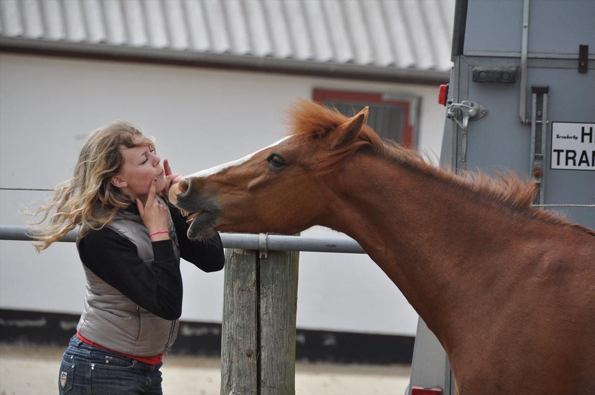 Pixeline 12-års fødselsdag :-) billede 164