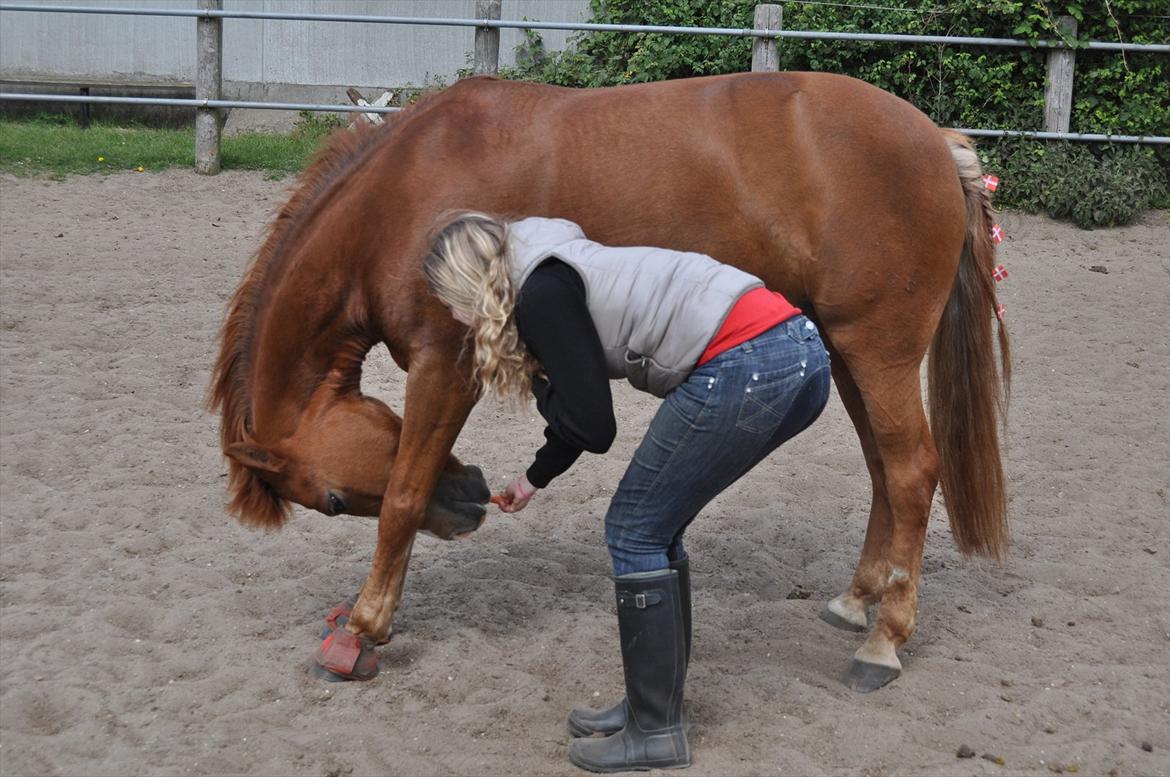 Pixeline 12-års fødselsdag :-) billede 166
