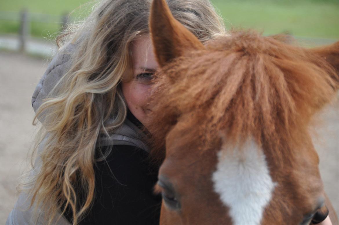 Pixeline 12-års fødselsdag :-) billede 171