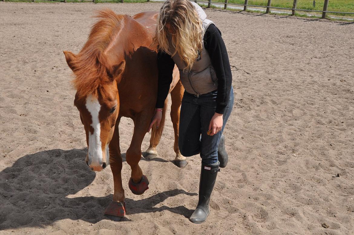 Pixeline 12-års fødselsdag :-) billede 175