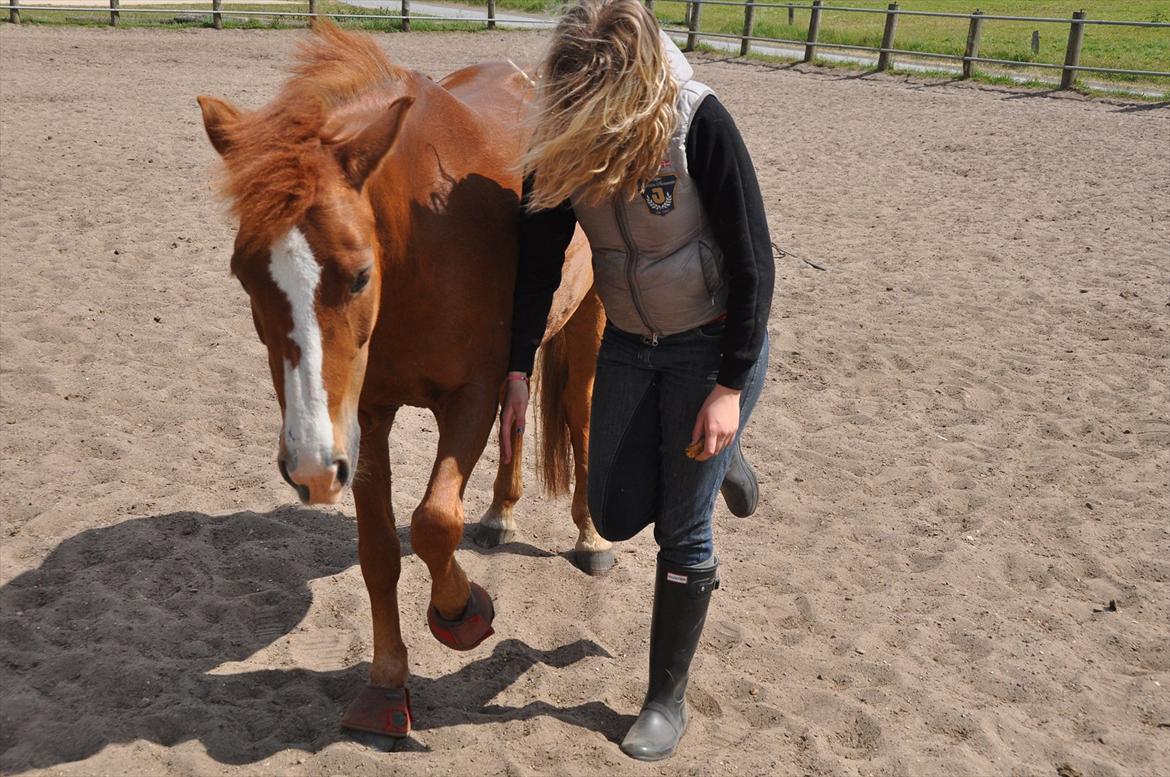 Pixeline 12-års fødselsdag :-) billede 176