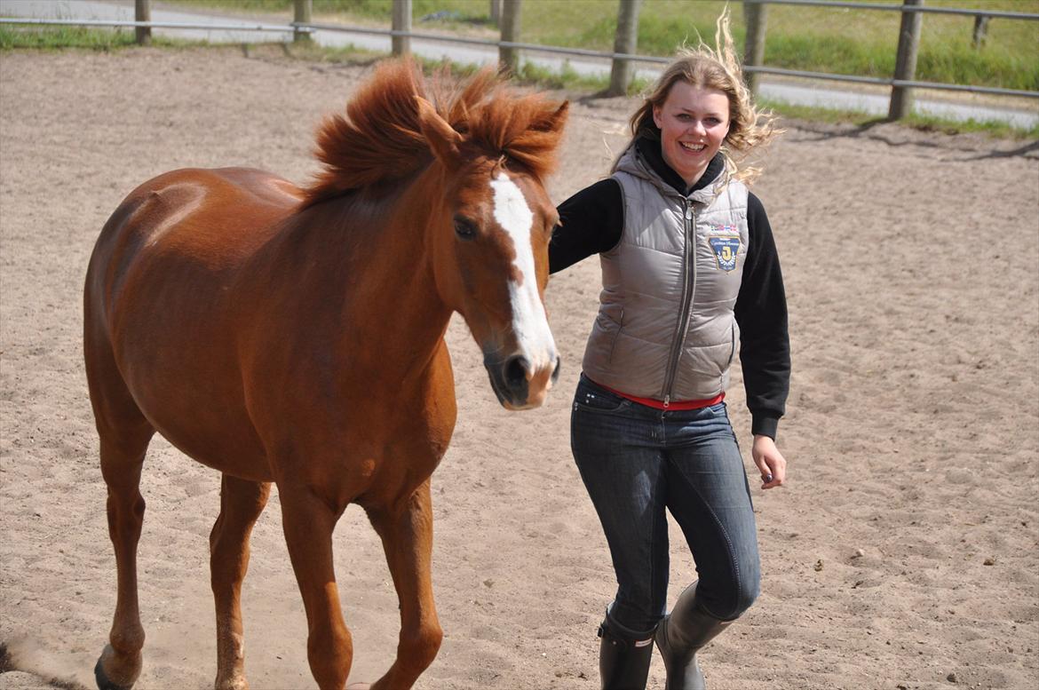 Pixeline 12-års fødselsdag :-) billede 177