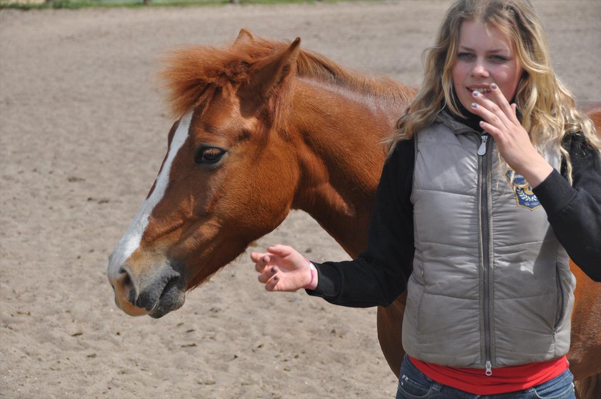 Pixeline 12-års fødselsdag :-) billede 179