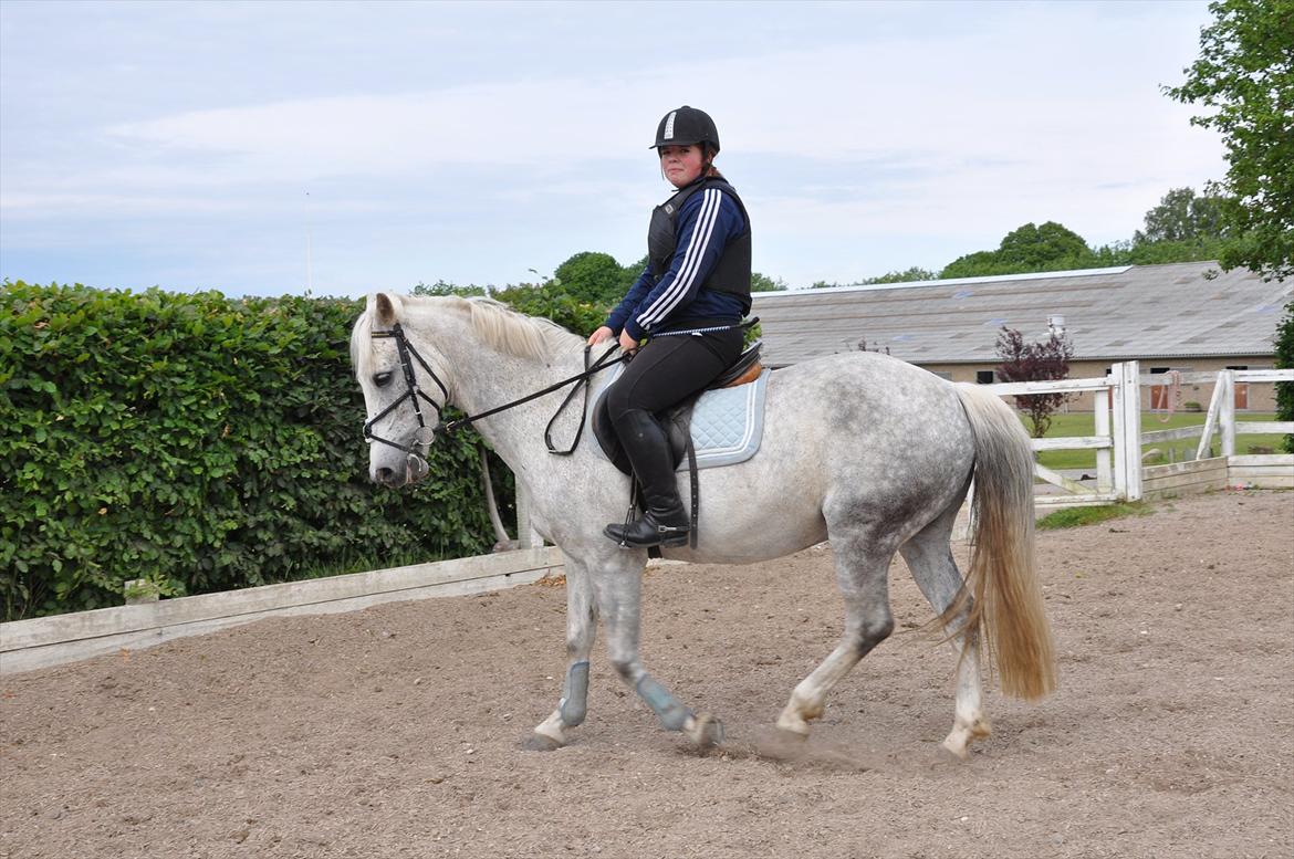 Spring med sarah og Garfield, Rikke og Sandie billede 3