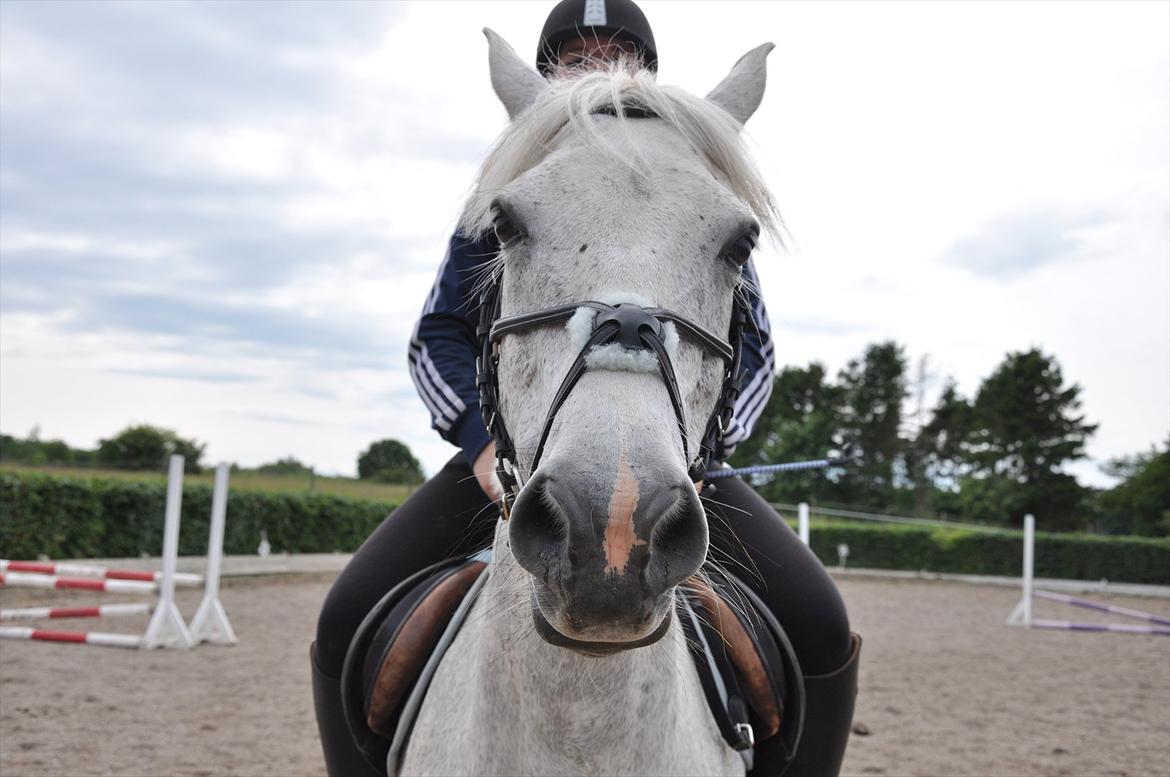 Spring med sarah og Garfield, Rikke og Sandie billede 4