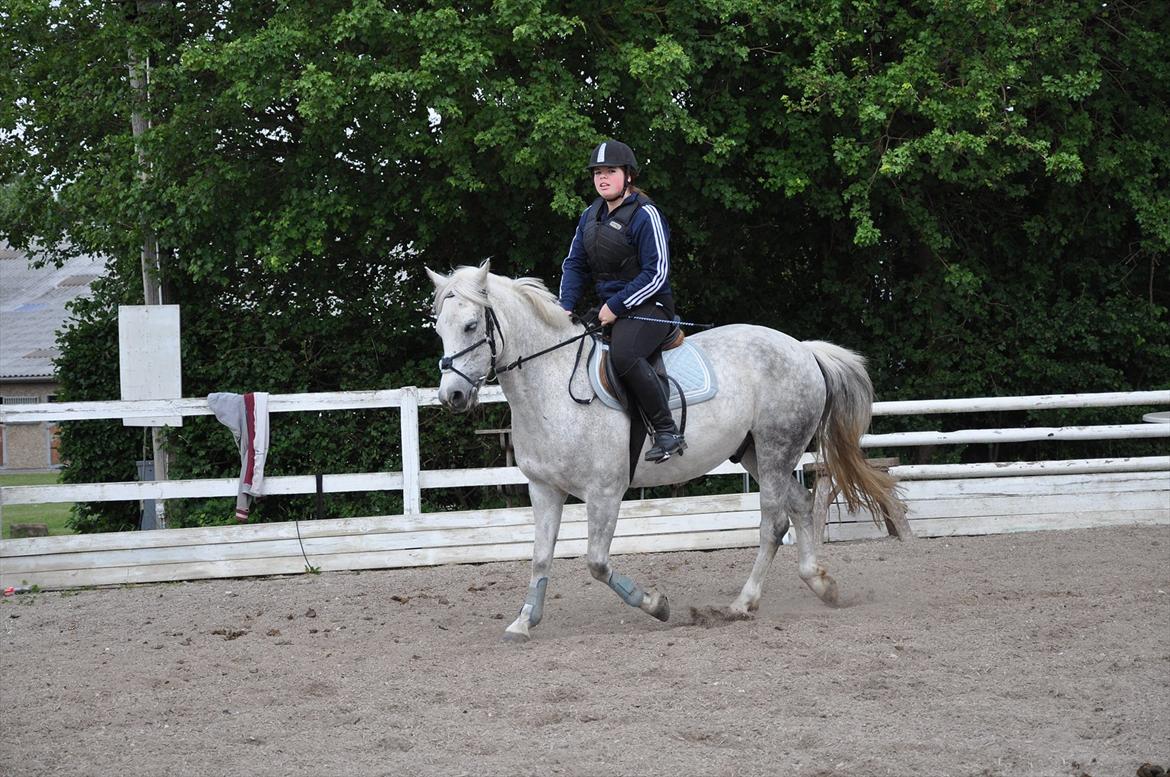 Spring med sarah og Garfield, Rikke og Sandie billede 5
