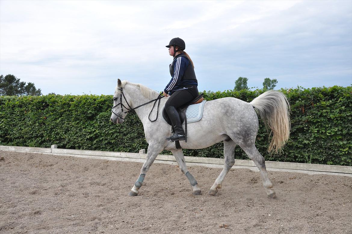 Spring med sarah og Garfield, Rikke og Sandie billede 6