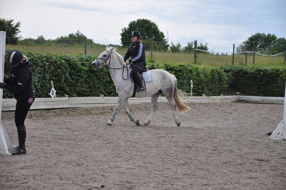 Spring med sarah og Garfield, Rikke og Sandie billede 7