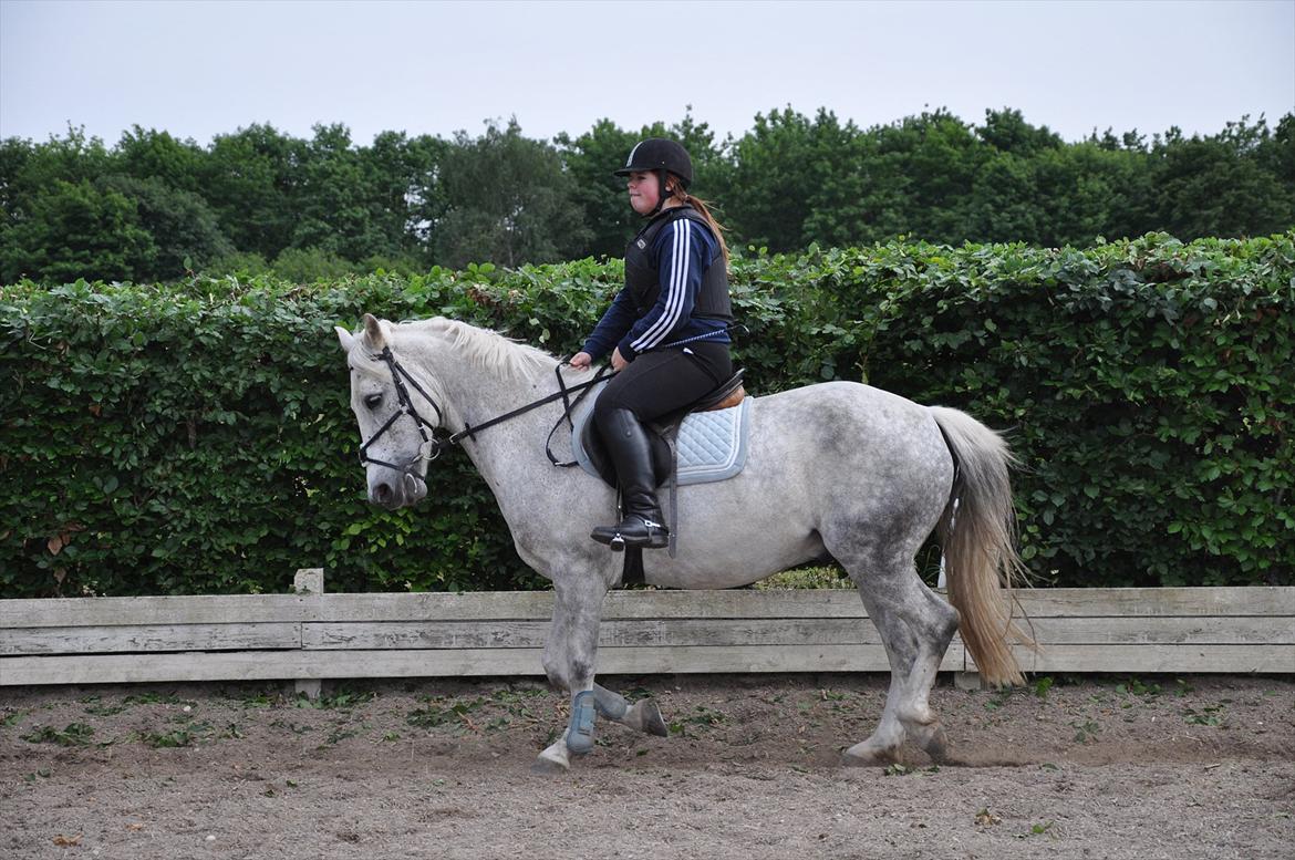 Spring med sarah og Garfield, Rikke og Sandie billede 8