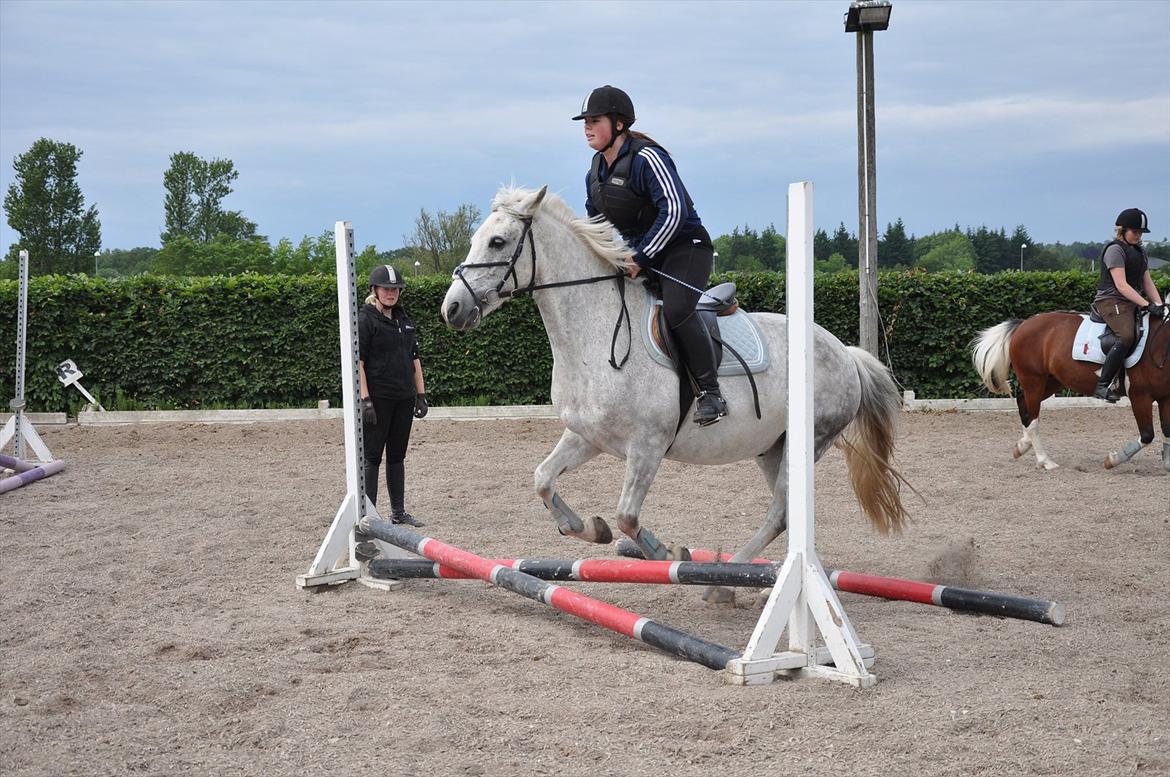 Spring med sarah og Garfield, Rikke og Sandie billede 9