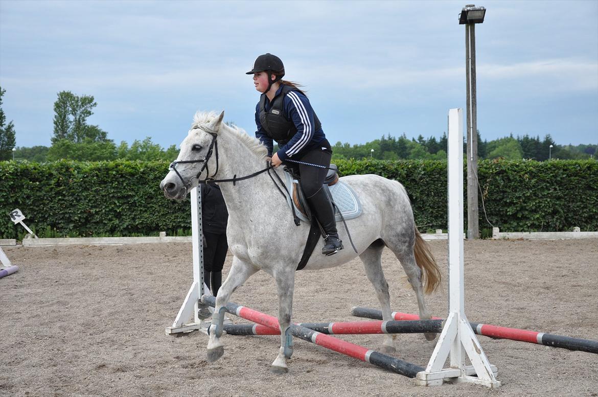 Spring med sarah og Garfield, Rikke og Sandie billede 10