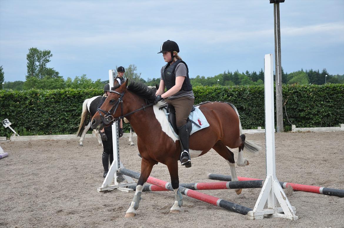 Spring med sarah og Garfield, Rikke og Sandie billede 11