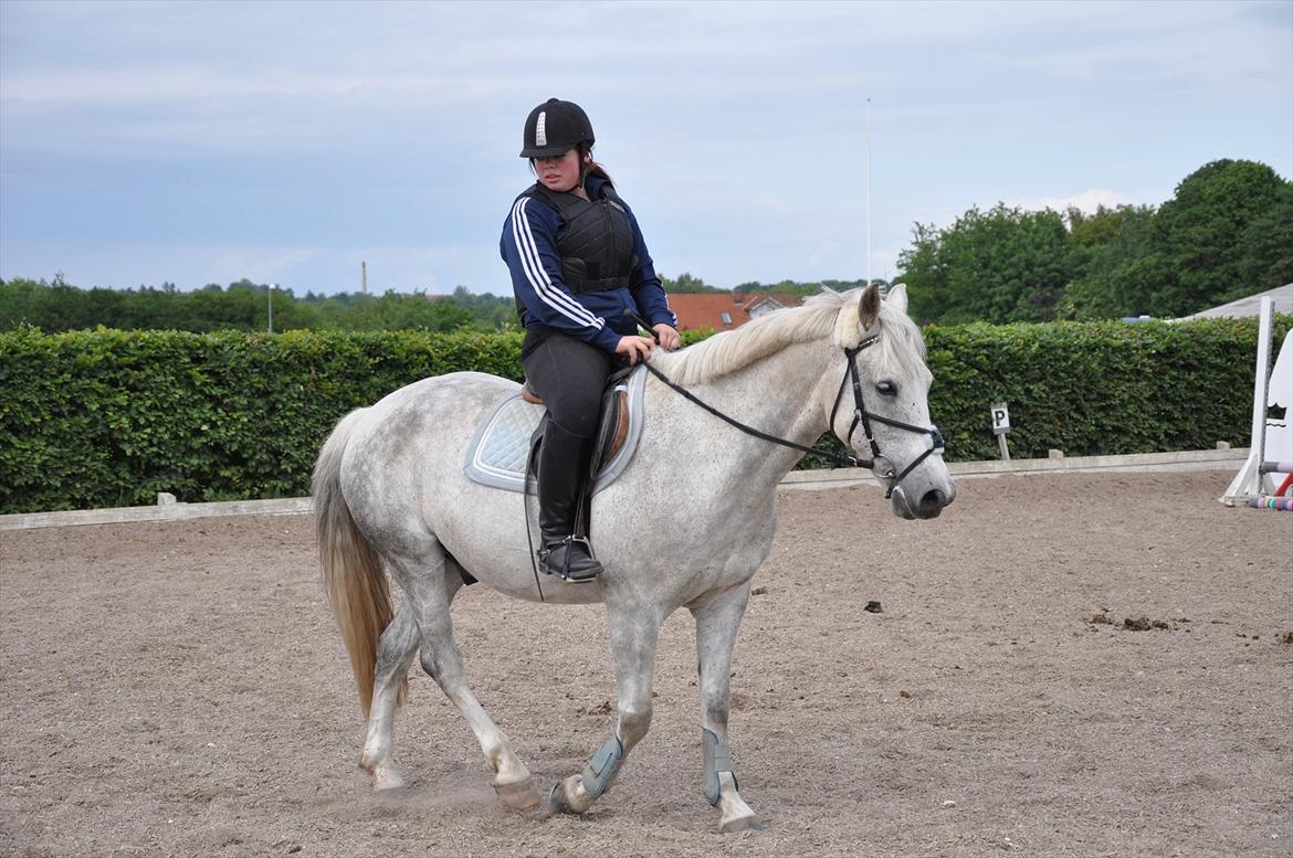 Spring med sarah og Garfield, Rikke og Sandie billede 12