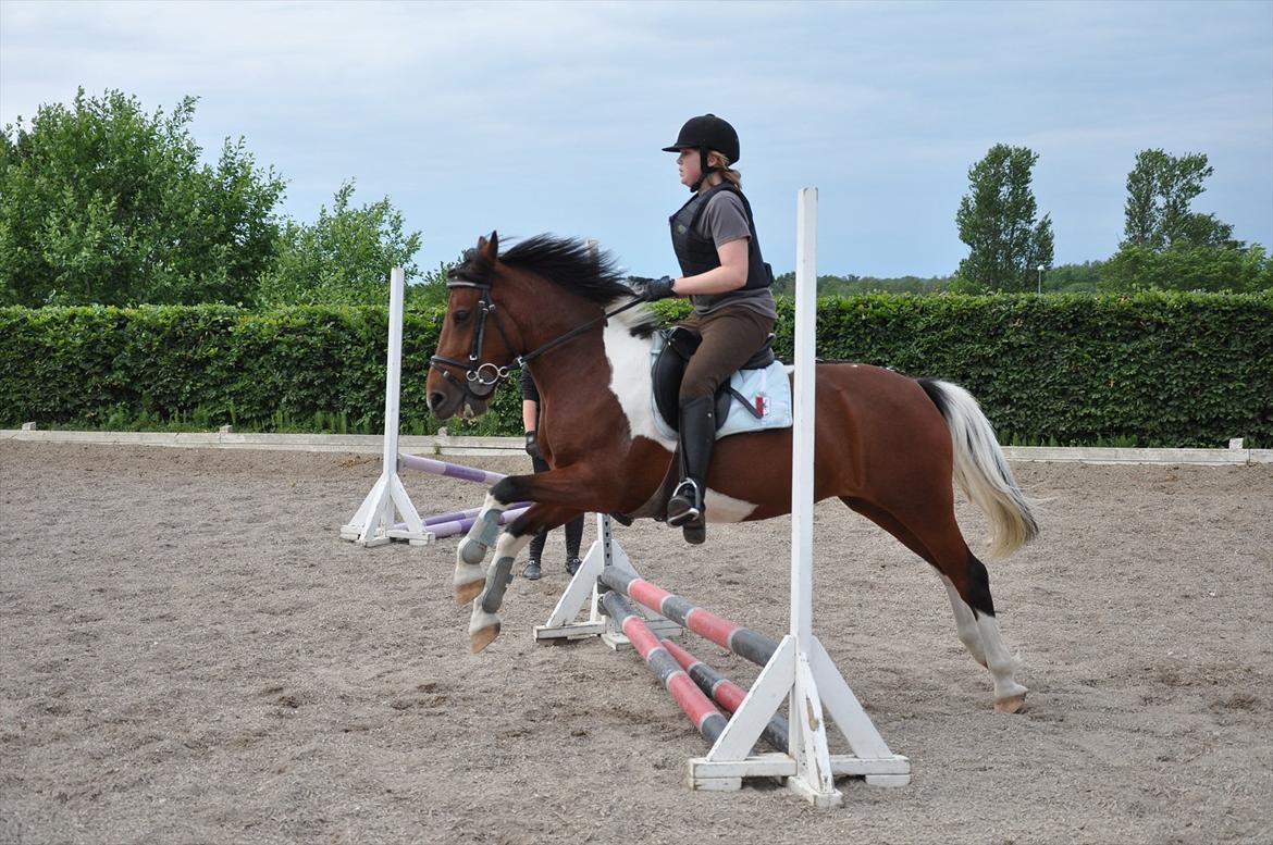 Spring med sarah og Garfield, Rikke og Sandie billede 13