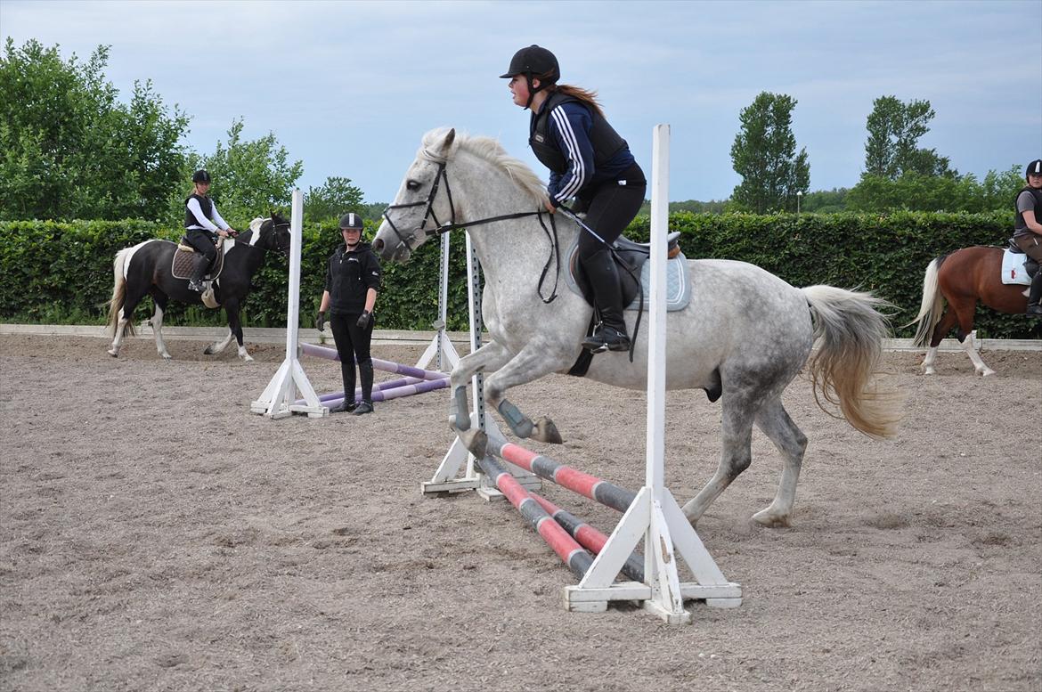 Spring med sarah og Garfield, Rikke og Sandie billede 14