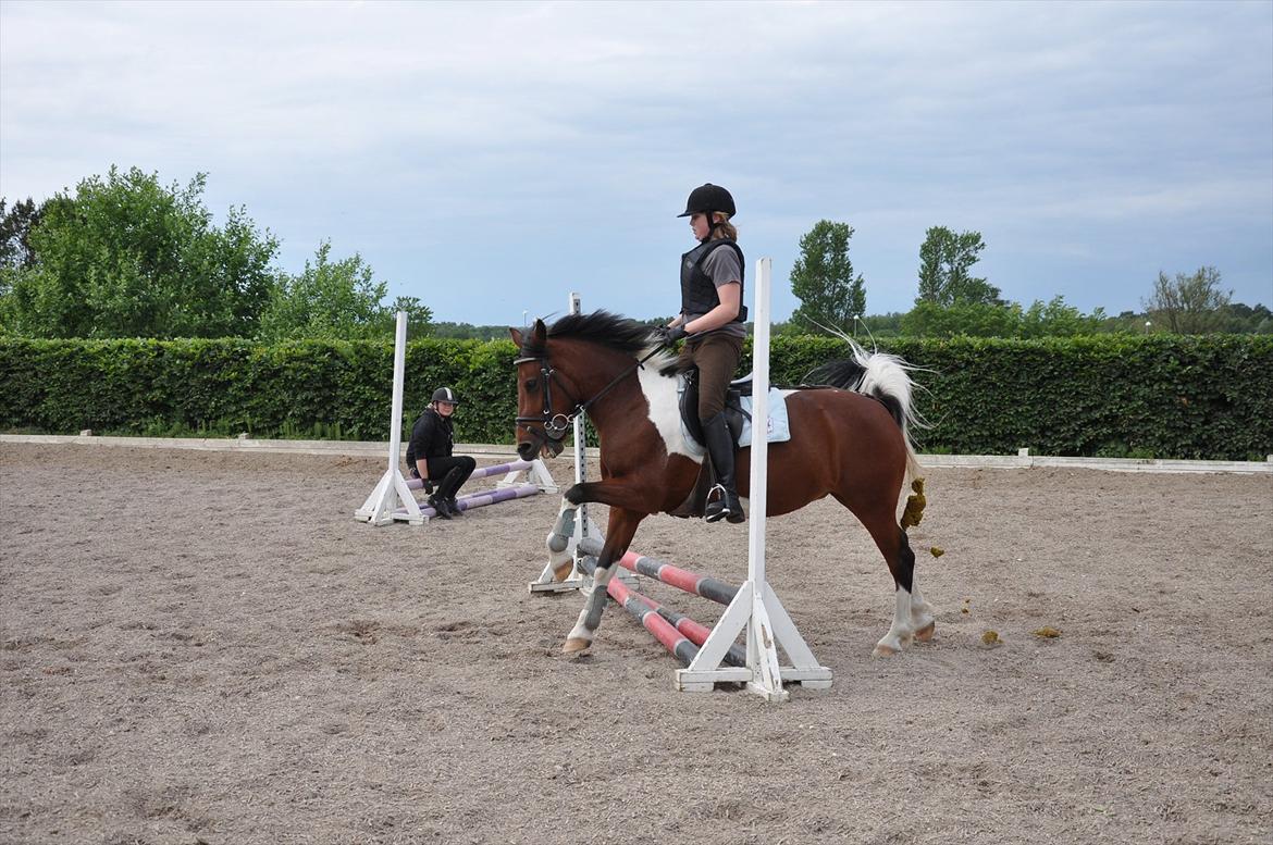Spring med sarah og Garfield, Rikke og Sandie billede 16