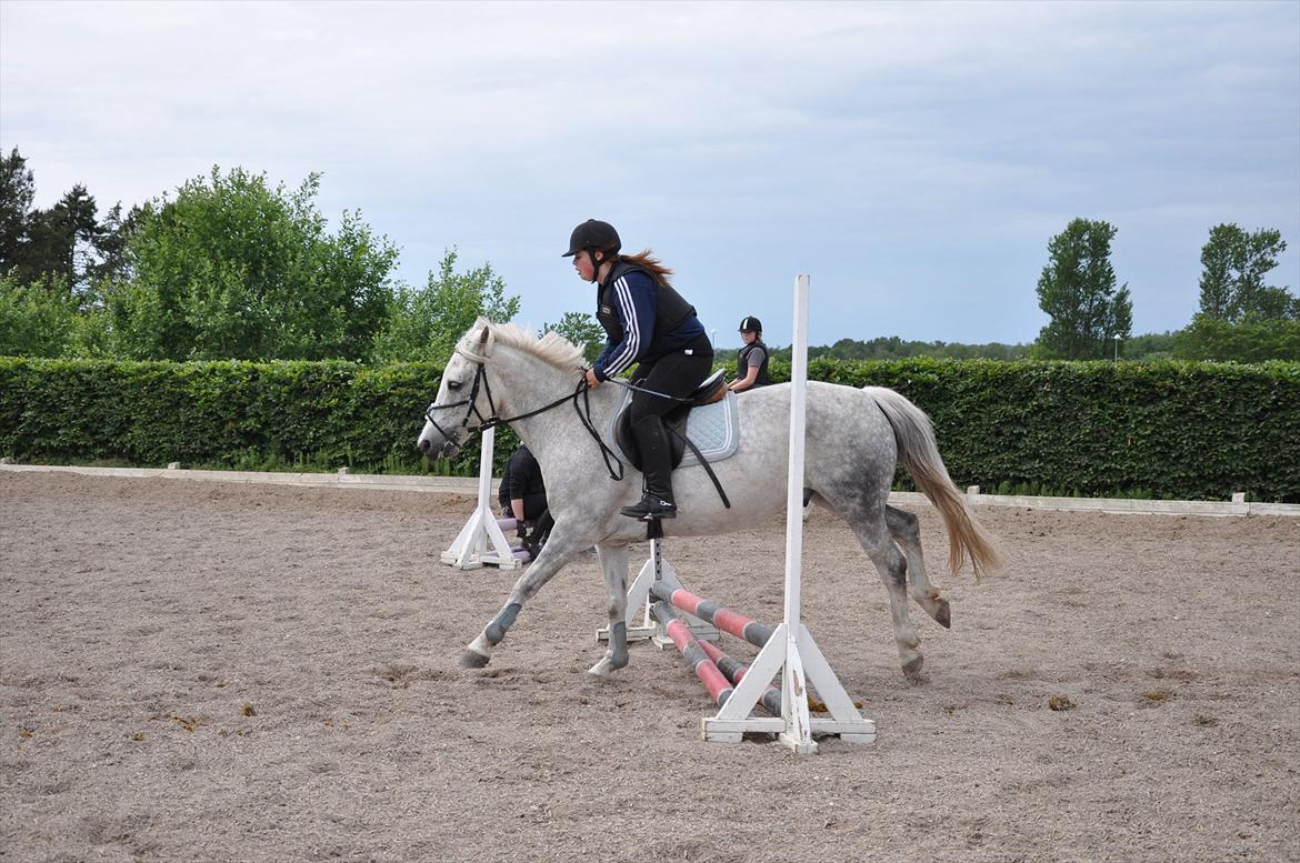 Spring med sarah og Garfield, Rikke og Sandie billede 18