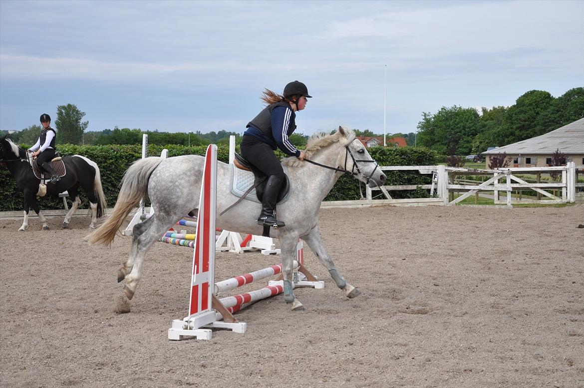 Spring med sarah og Garfield, Rikke og Sandie billede 19