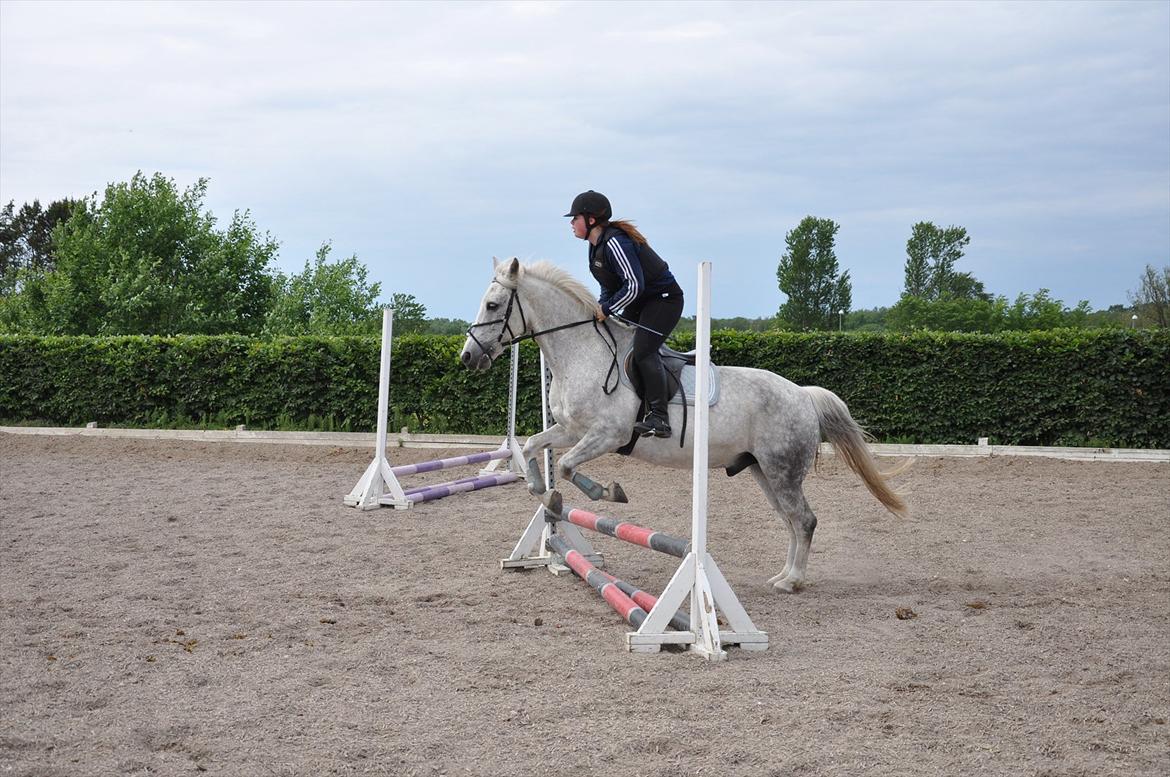 Spring med sarah og Garfield, Rikke og Sandie billede 20