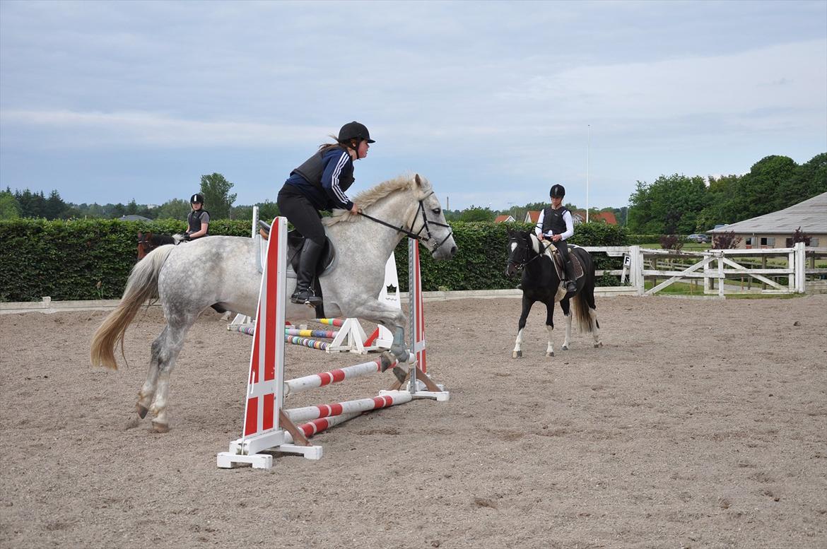 Spring med sarah og Garfield, Rikke og Sandie billede 21