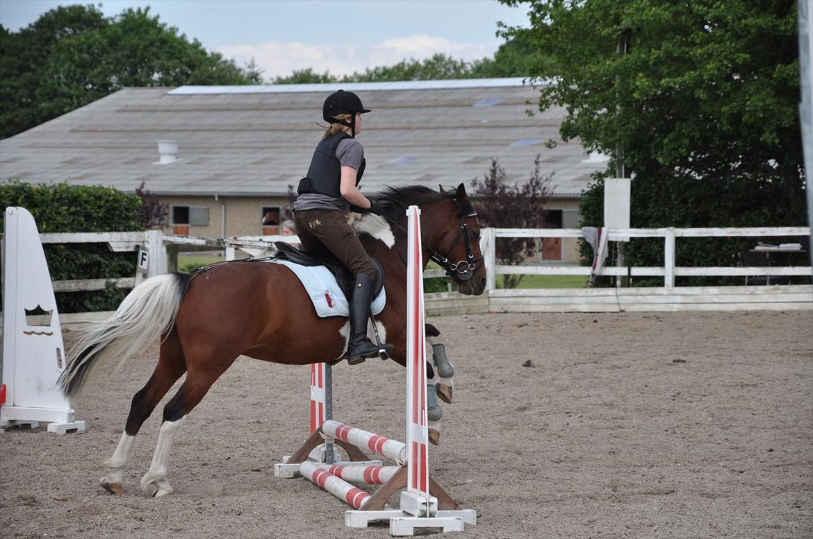 Spring med sarah og Garfield, Rikke og Sandie billede 22