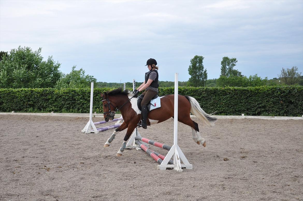Spring med sarah og Garfield, Rikke og Sandie billede 23