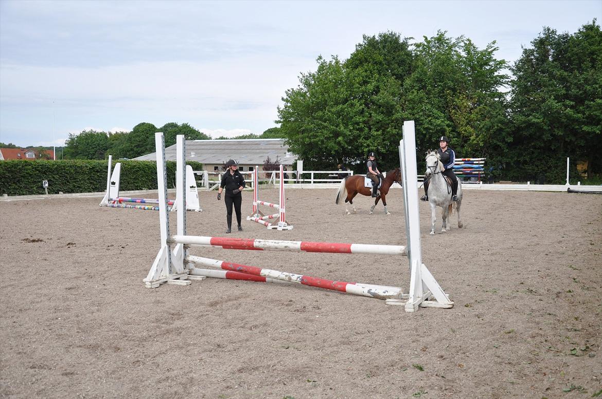Spring med sarah og Garfield, Rikke og Sandie billede 25