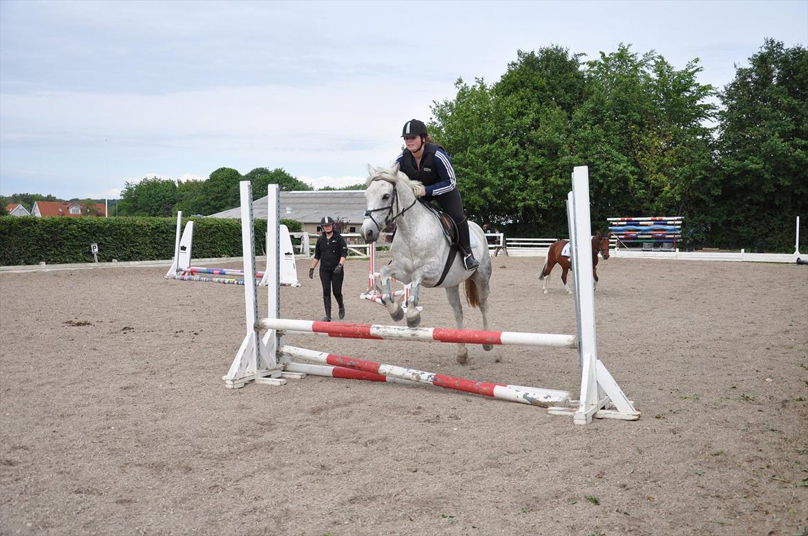 Spring med sarah og Garfield, Rikke og Sandie billede 26