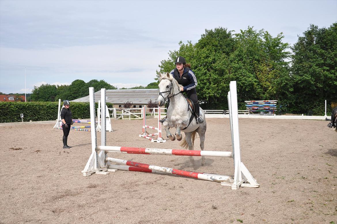 Spring med sarah og Garfield, Rikke og Sandie billede 28