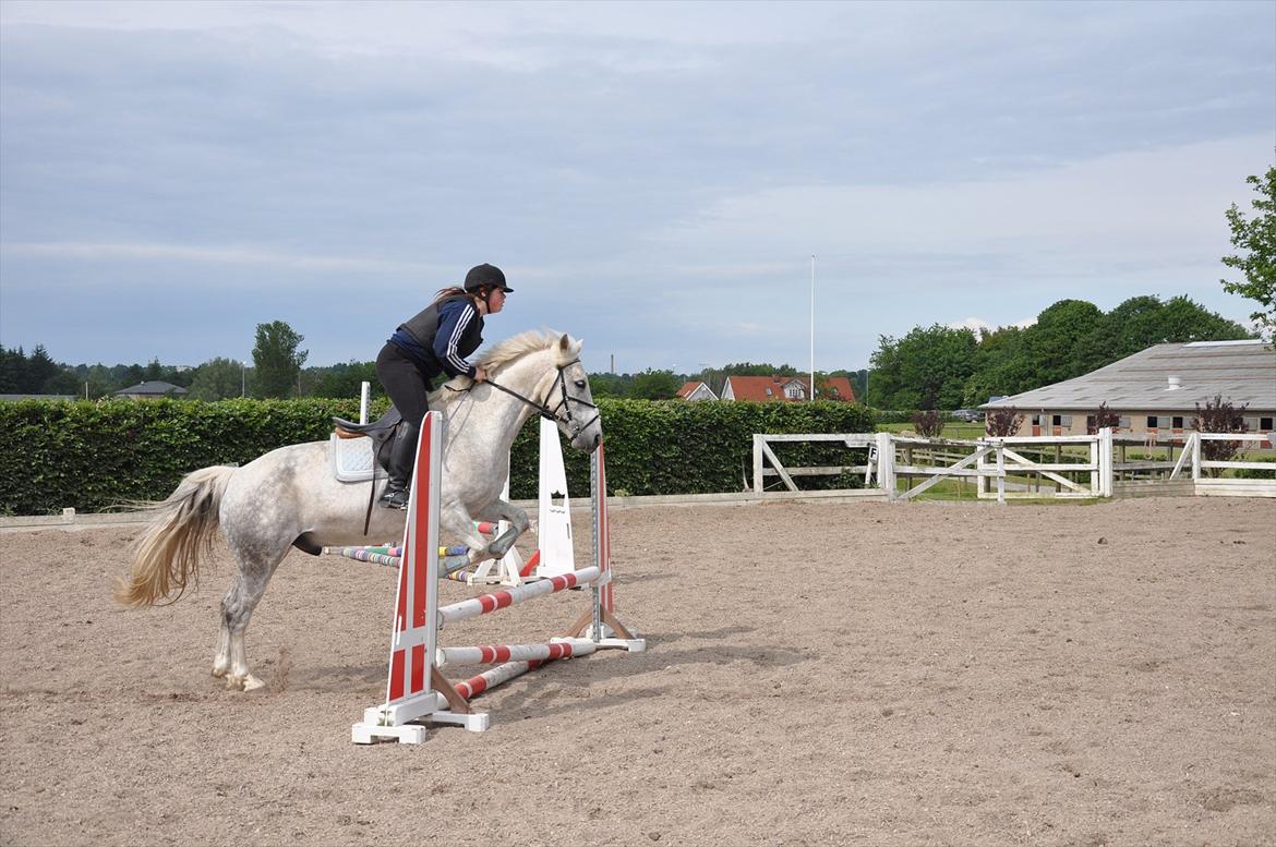 Spring med sarah og Garfield, Rikke og Sandie billede 29