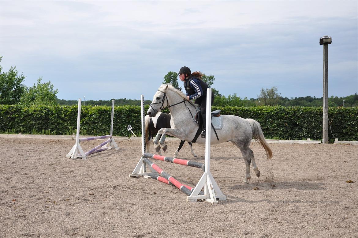 Spring med sarah og Garfield, Rikke og Sandie billede 30