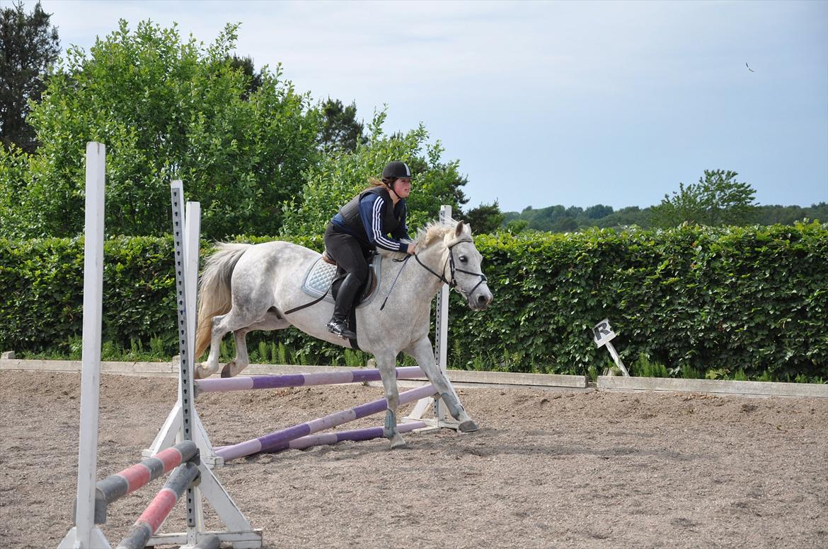 Spring med sarah og Garfield, Rikke og Sandie billede 31