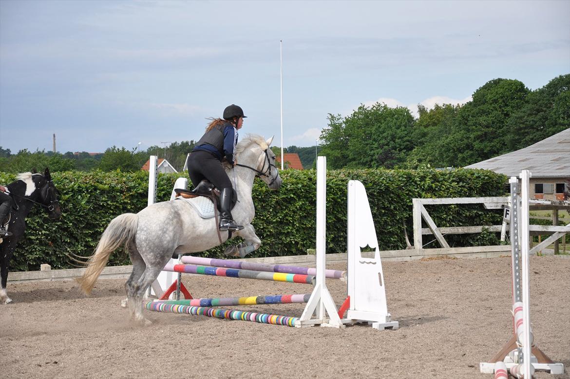 Spring med sarah og Garfield, Rikke og Sandie billede 32