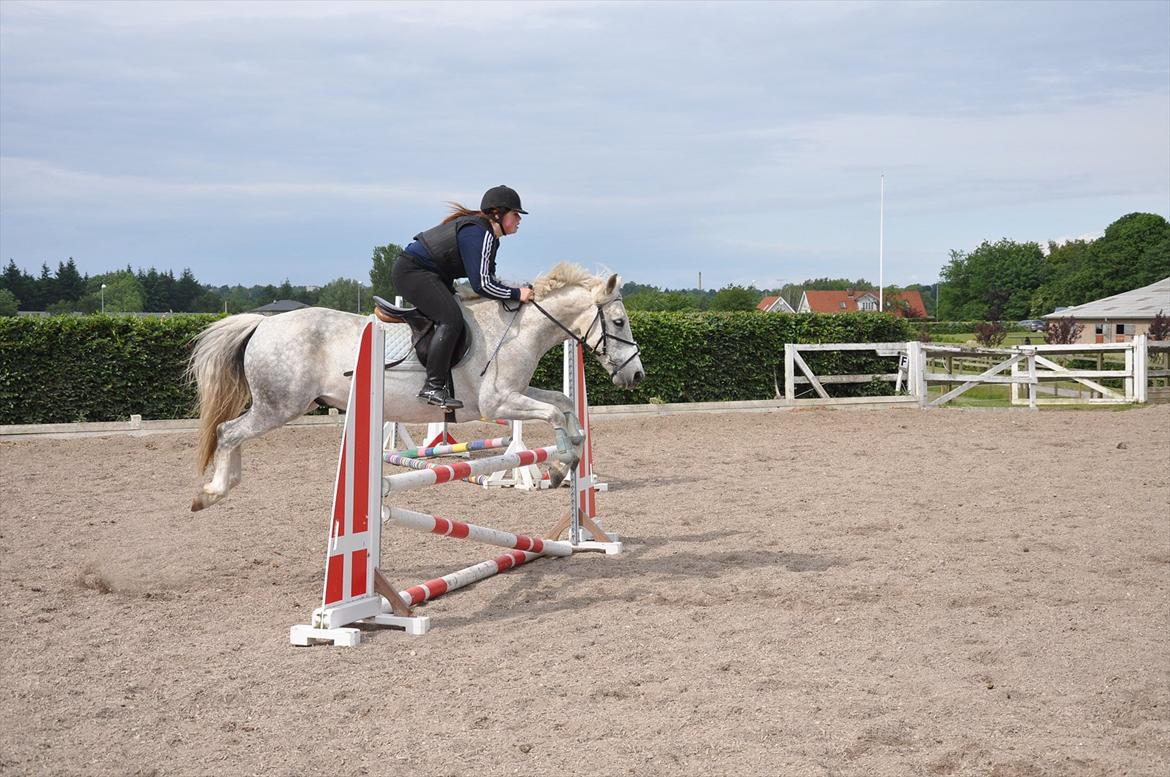 Spring med sarah og Garfield, Rikke og Sandie billede 35