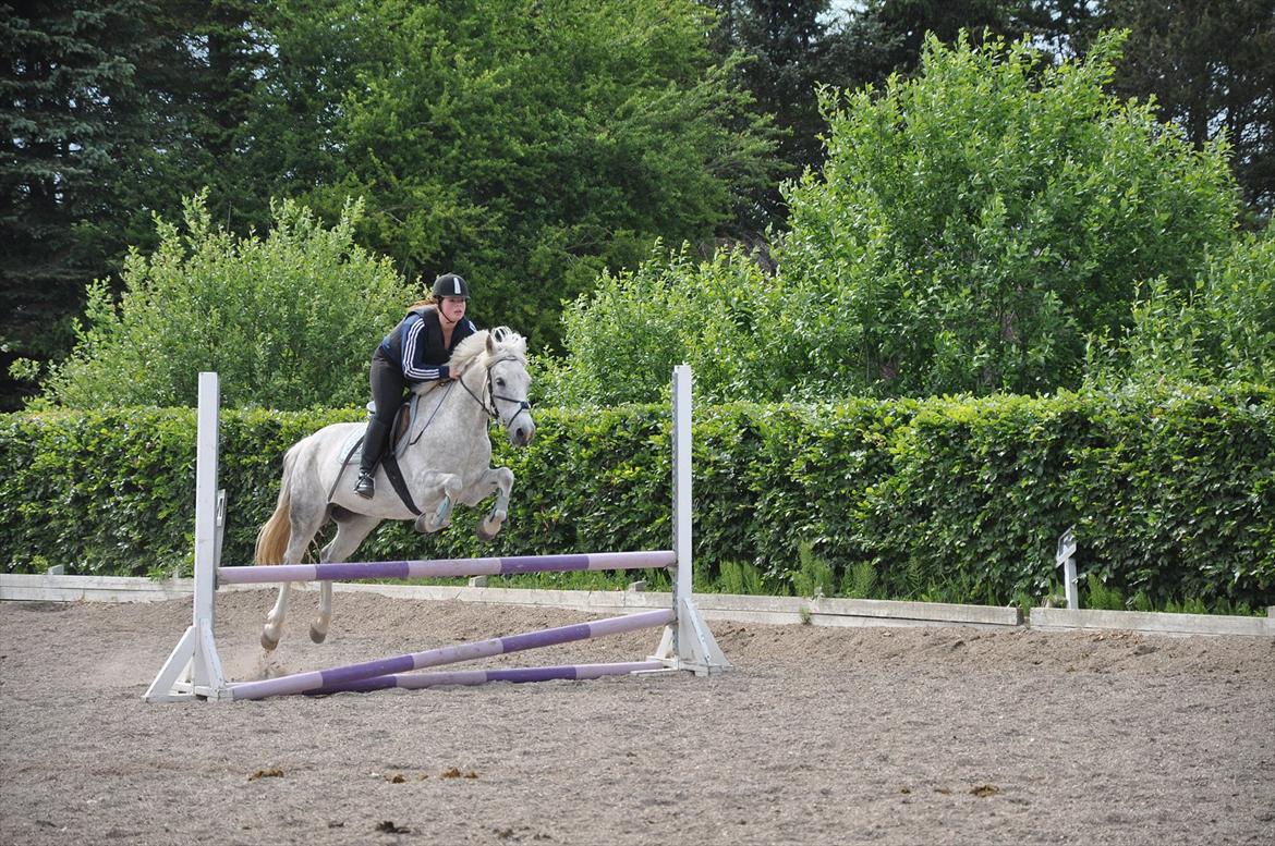 Spring med sarah og Garfield, Rikke og Sandie billede 36