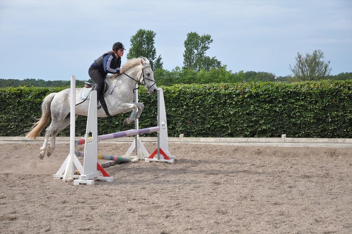 Spring med sarah og Garfield, Rikke og Sandie billede 37
