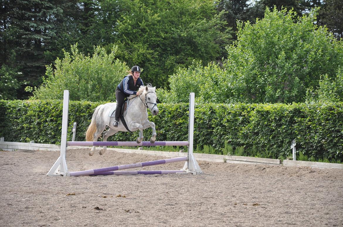 Spring med sarah og Garfield, Rikke og Sandie billede 38