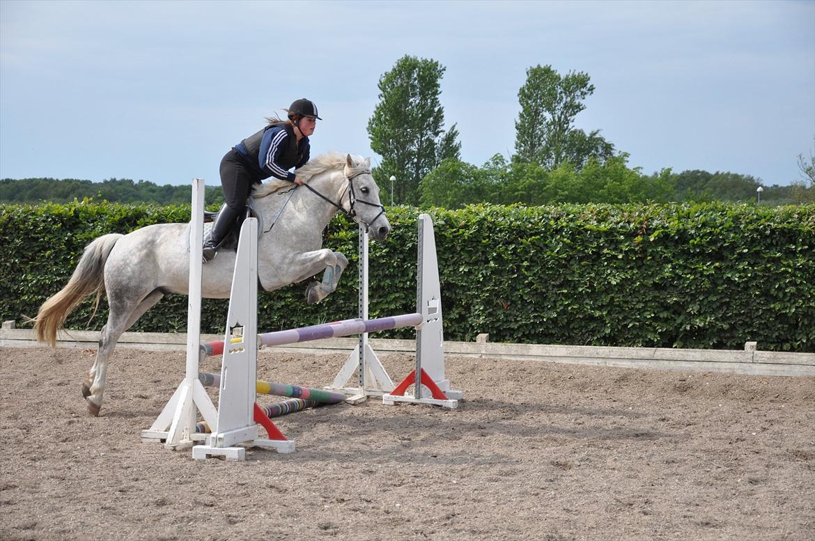 Spring med sarah og Garfield, Rikke og Sandie billede 39